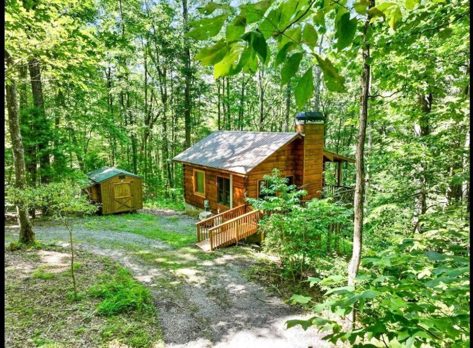 Open Studio Lodge At Little Rock Creek Cherry Log Luaran gambar